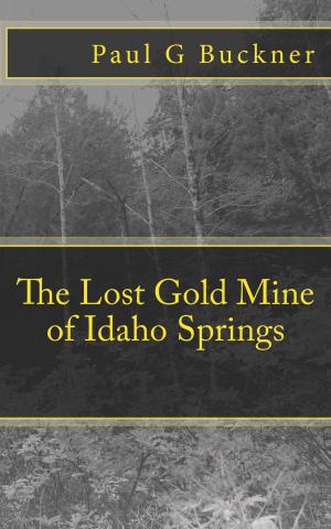 Book cover of The Lost Gold Mine of Idaho Springs