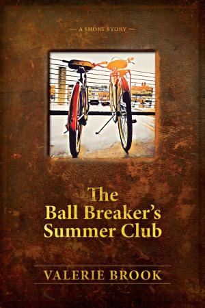 Cover of the book The Ball Breaker's Summer Club by Valerie Brook