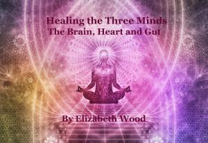 Cover of the book Healing the Three Minds - The Brain, Heart and Gut by Heribert Fischedick