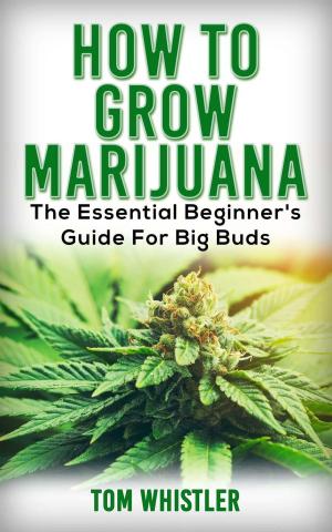 bigCover of the book How to Grow Marijuana : The Essential Beginner’s Guide for Big Buds by 