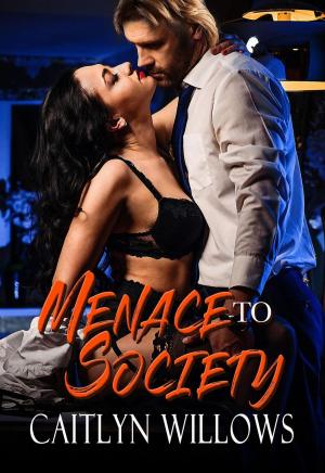 Cover of the book Menace to Society by Caitlyn Willows