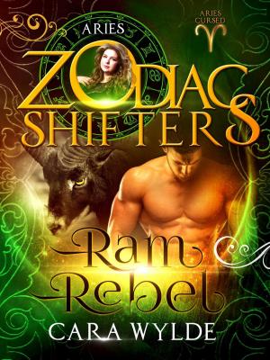 Cover of the book Ram Rebel by Sandy Wolters