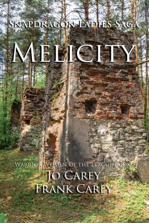 Cover of the book Melicity by D. Clarence Snyder