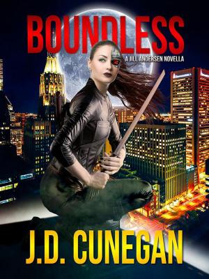 Cover of the book Boundless by Ellery Queen