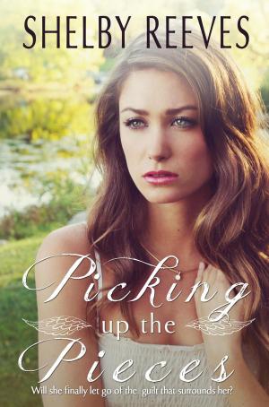 Cover of the book Picking up the Pieces by Brandi Midkiff