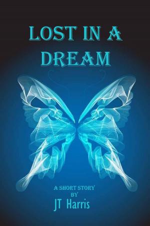 Cover of the book Lost in a Dream by Robert Harkess