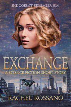 Cover of the book Exchange by Nicola R. White