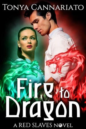 Cover of the book Fire to Dragon by Tonya Cannariato