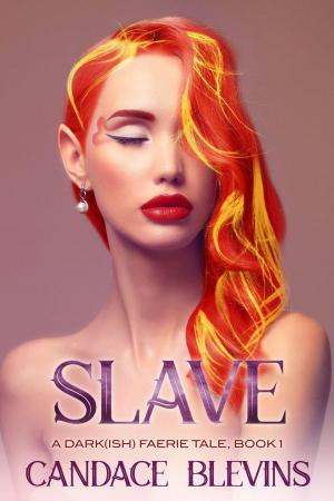 Cover of the book Slave by Jeremy Tyrrell
