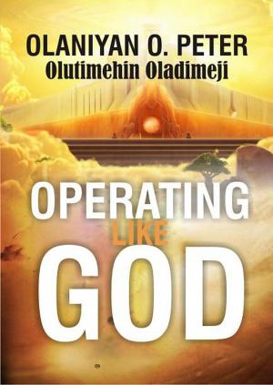 Book cover of Operating Like God