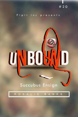 Cover of the book Unbound #20: Succubus Ensign by Ryan Somma