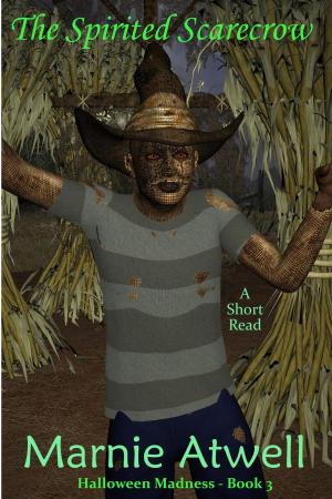 Cover of The Spirited Scarecrow