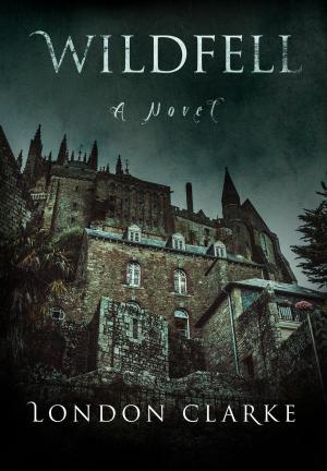 Book cover of Wildfell
