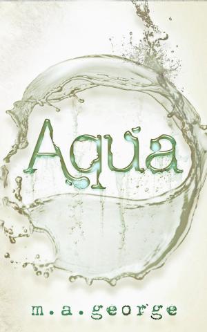 Cover of the book Aqua by Robert McDermott