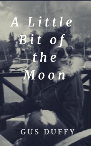 Cover of the book A Little Bit of the Moon by Erin Osborne