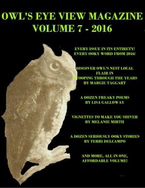 Cover of the book Owl's Eye View Magazine - Volume 7 - 2016 - Year End Bundle by Terri DelCampo, Lisa Galloway