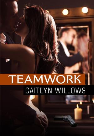 Book cover of Teamwork