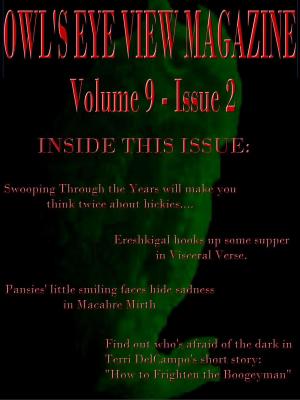 Cover of the book Owl's Eye View Magazine - Volume 9 - Issue 2 by Terri DelCampo, Margie Taggart, Lisa Galloway, Melanie Mirth