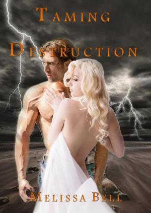 Book cover of Taming Destruction