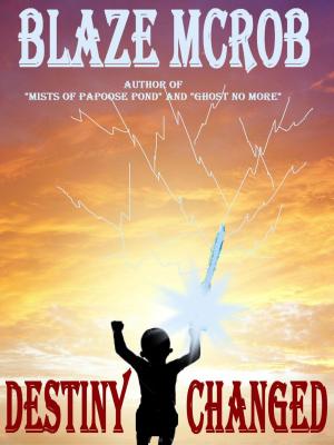 Cover of the book Destiny Changed by Terri DelCampo