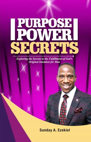 Book cover of Purpose Power Secrets