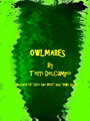 Cover of the book OwlMares by Blaze McRob