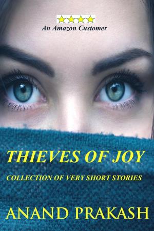 Book cover of Thieves of Joy