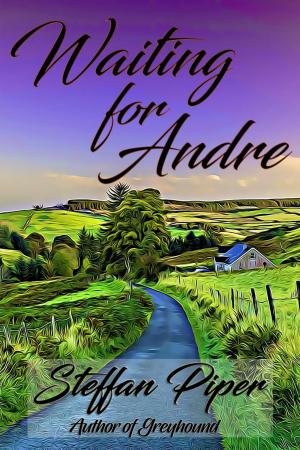 Cover of the book Waiting For Andre by Marcello Rodi