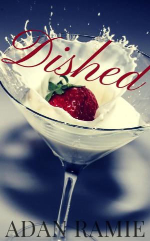 Book cover of Dished