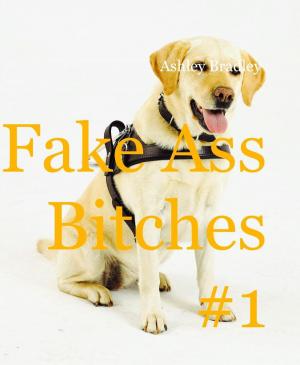bigCover of the book Fake Ass Bitches by 