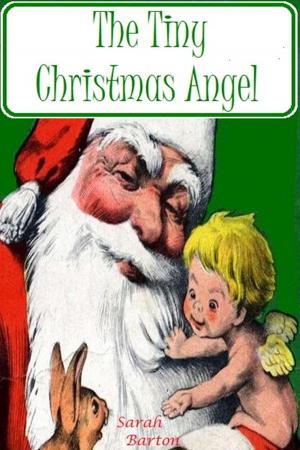 Book cover of The Tiny Christmas Angel