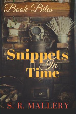 Cover of the book Book Bites: Snippets in Time by Jeff McArthur