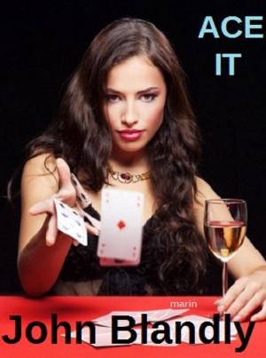Cover of the book Ace It by Pantson Fire