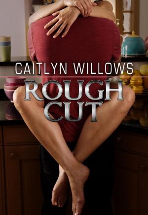 Cover of the book Rough Cut by Caitlyn Willows