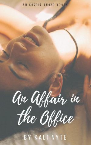 Cover of the book An Affair in the Office by B.J. Lovelock
