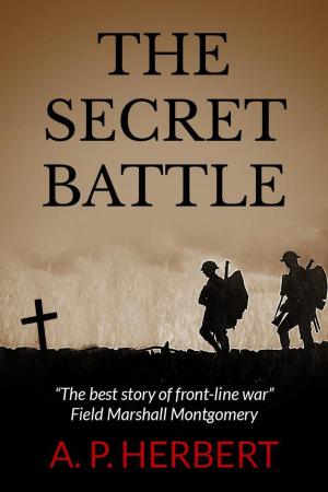 Cover of the book The Secret Battle by Jill Gregory