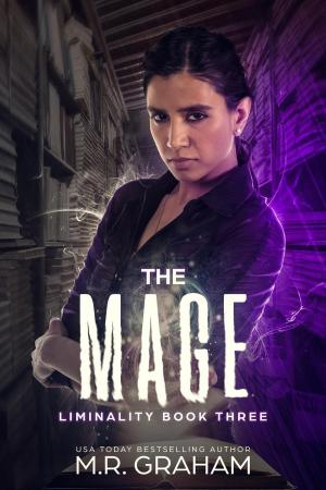 bigCover of the book The Mage by 
