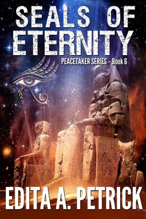 Cover of the book Seals of Eternity by Jerrica Knight-Catania