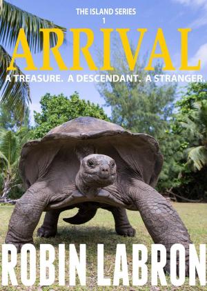 Book cover of Arrival: A Treasure. A Descendant. A Stranger.