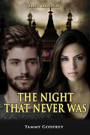 Cover of the book Night That Never Was by Chantal Paulette