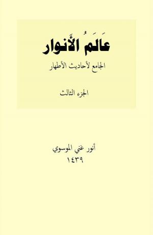 Cover of عالم الأنوار ج3