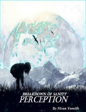 Cover of the book Perception: Breakdown of Sanity by David G Williams