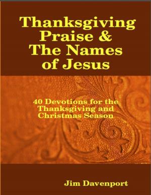 Cover of the book Thanksgiving Praise & the Names of Jesus - 40 Devotions for the Thanksgiving and Christmas Season by E W Farnsworth