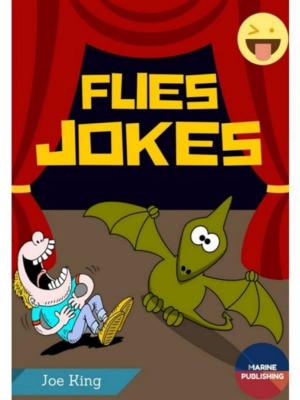Book cover of Flies Jokes