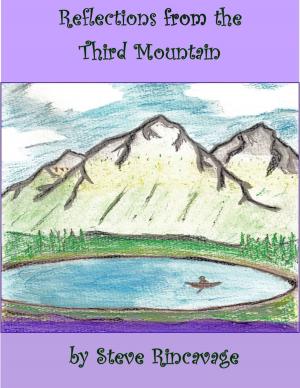 bigCover of the book Reflections from the Third Mountain by 
