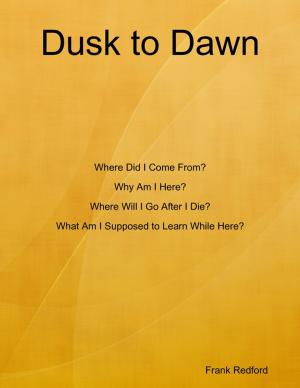 bigCover of the book Dusk to Dawn Where Did I Come From? Why Am I Here? Where Will I Go After I Die? What Am I Supposed to Learn While Here? by 