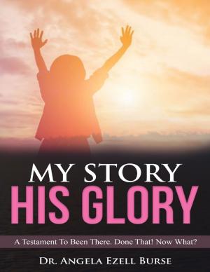 Cover of the book My Story, His Glory - A Testament To Been There. Done That! Now What? by Oluwagbemiga Olowosoyo