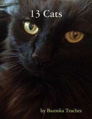 Cover of the book 13 Cats by Joel Armour