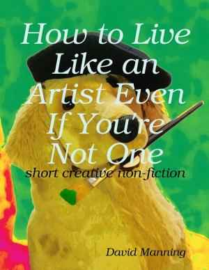Book cover of How to Live Like an Artist Even If You're Not One: Short Creative Nonfiction
