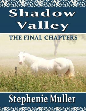 Cover of the book Shadow Valley - The Final Chapters by M.J. Souder